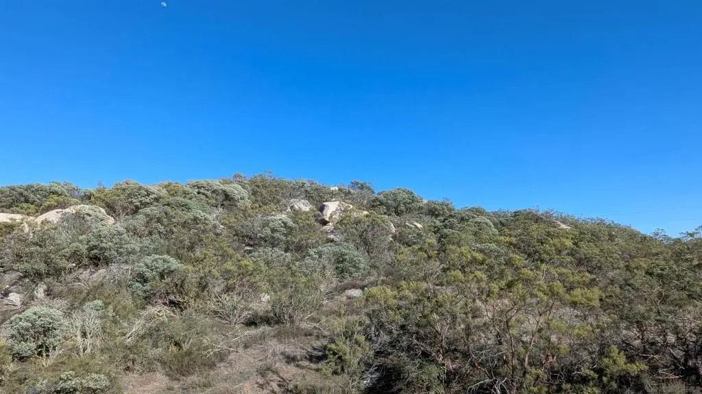 778 Crazy Horse Canyon, Aguanga, CA — listing photo 1