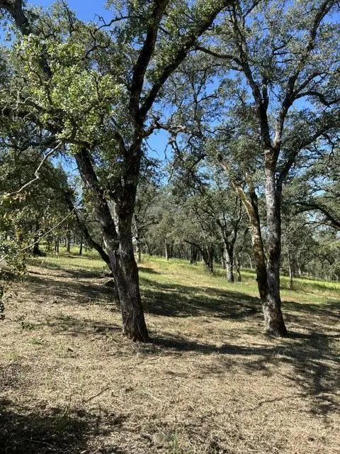 1100 Firth Way, El Dorado Hills, CA — listing photo 1