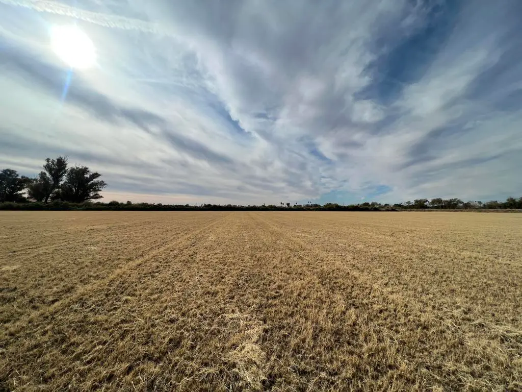 1159 Broadway, Blythe, CA — listing photo 1