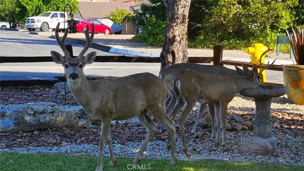 Single Family Residence for sale at 1695 Southfork, Paso Robles, CA featuring 3 beds and 3 baths