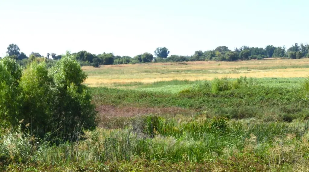 Address available on request, Knightsen, CA — listing photo 1