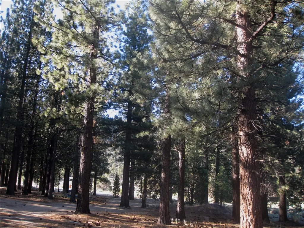2818 Erwin Ranch Rd, Big Bear City, CA — listing photo 1