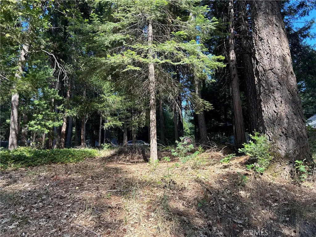 0 Bridgeport, Magalia, CA — listing photo 1