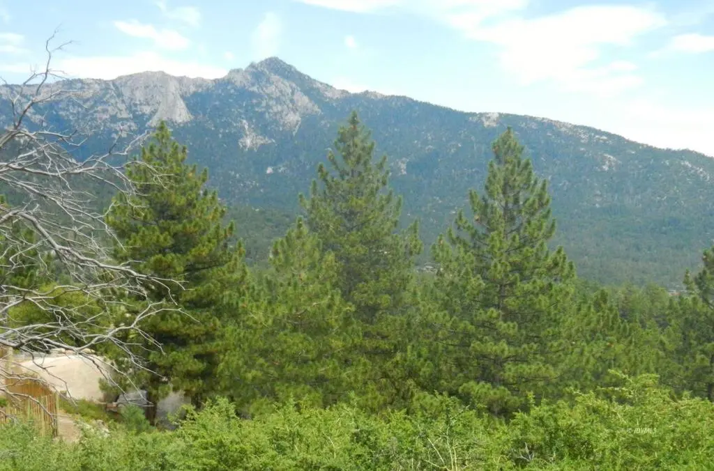 0 Big Rock, Idyllwild, CA — listing photo 1