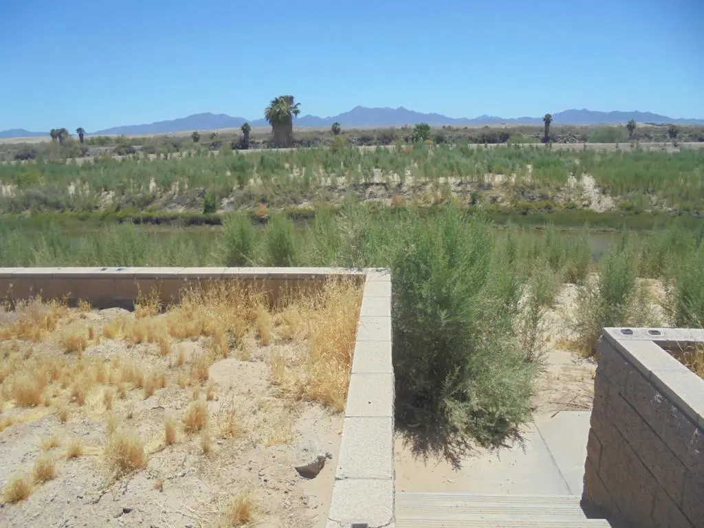 1556 Riviera Drive, Blythe, CA — listing photo 1