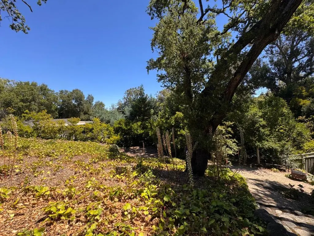 225 Oak Meadow Drive, Los Gatos, CA — listing photo 1