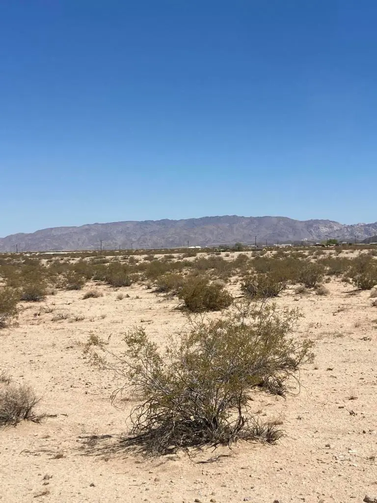 66055 Mars Drive, Joshua Tree, CA — listing photo 1