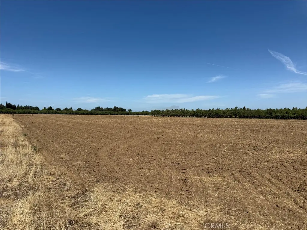 0 Jones, Durham, CA — listing photo 1