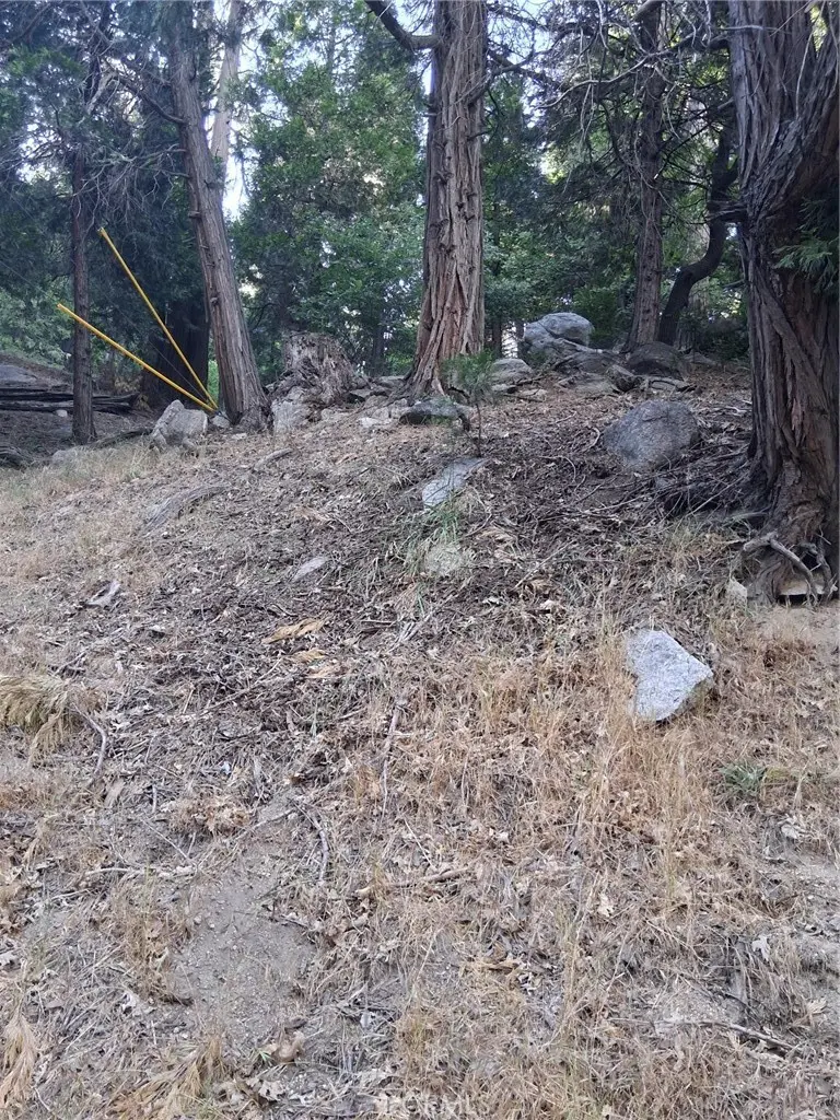 6 Finhaut Drive, Crestline, CA — listing photo 1