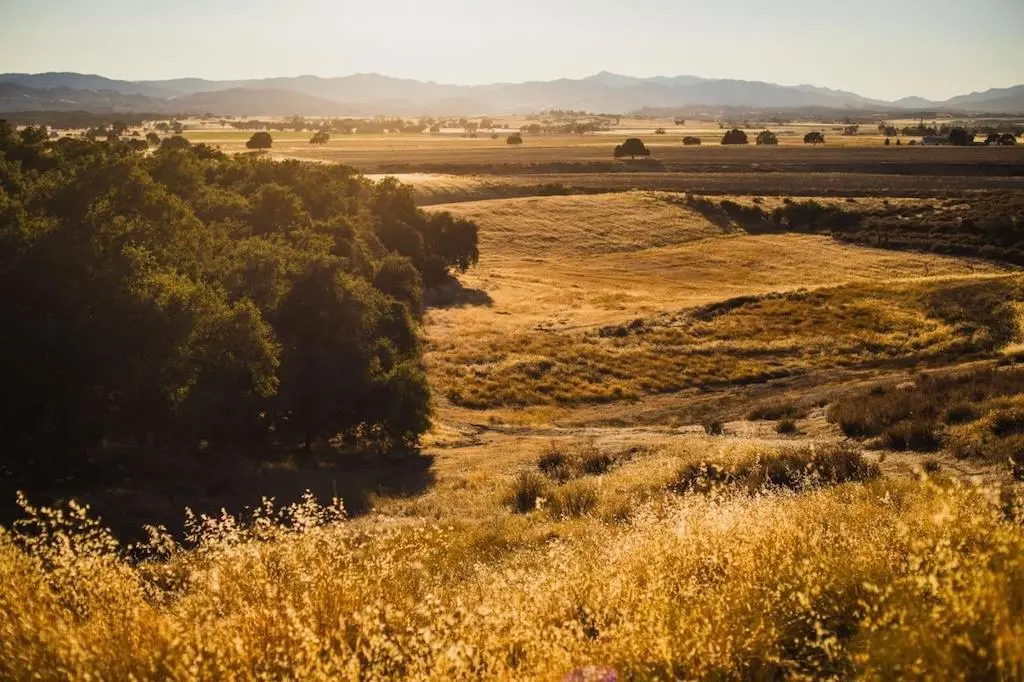68365 Jolon Road, Bradley, CA — listing photo 1