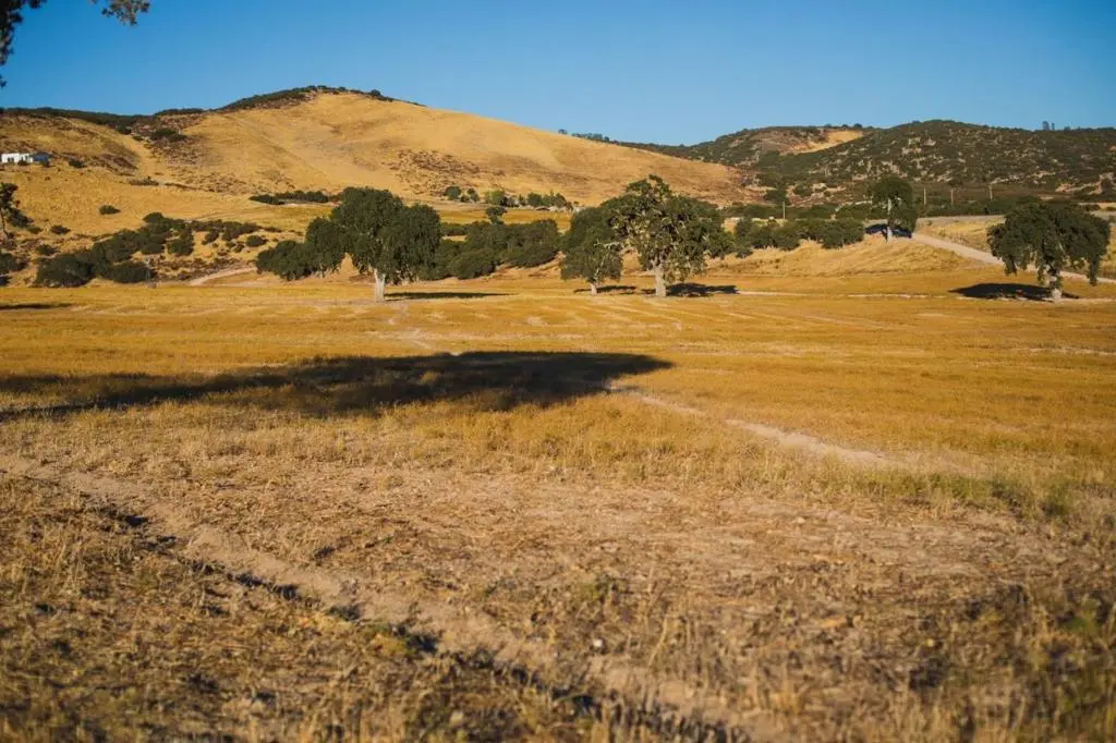 68353 Jolon Road, Bradley, CA — listing photo 1