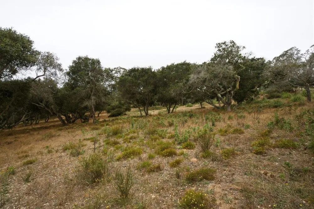 0 Valle Pacifico Road, Salinas, CA — listing photo 1