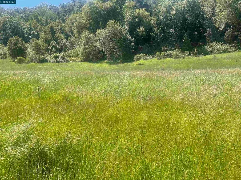 1180 Bear Creek Rd, Martinez, CA — listing photo 1