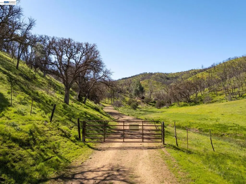 15676 W Corral Hollow Rd, Tracy, CA — listing photo 1