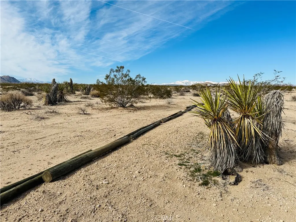 1234 Desert Lily, Joshua Tree, CA — listing photo 1