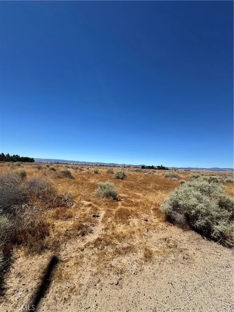 84 B 8 Stw, Lancaster, CA — listing photo 1