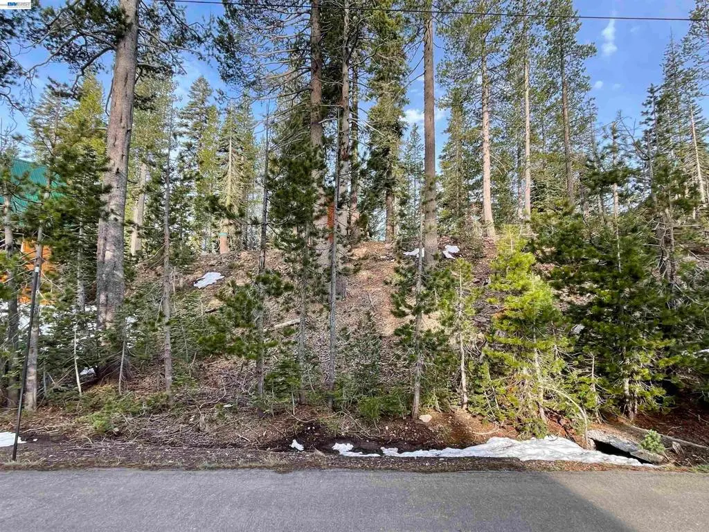 7217 Palisade Road, Soda Springs, CA — listing photo 1