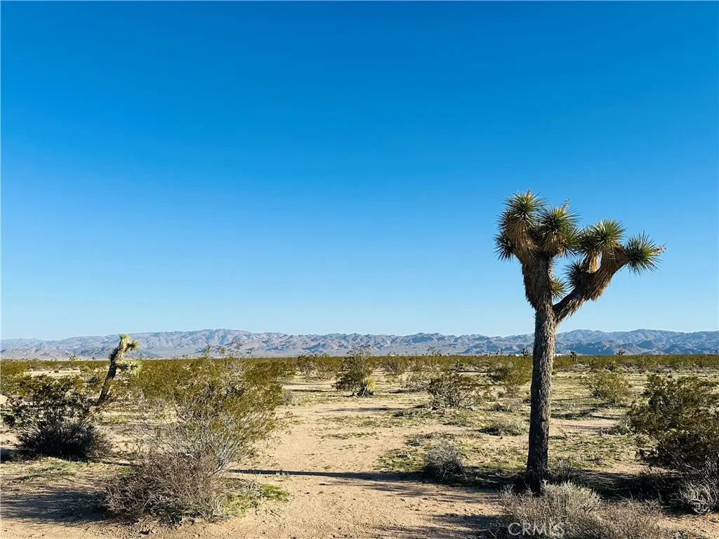 1974 Sunset, Joshua Tree, CA — listing photo 1