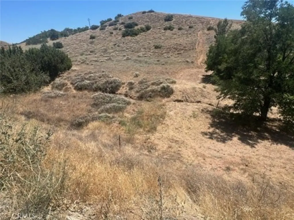 0 Sierra, Acton, CA — listing photo 1