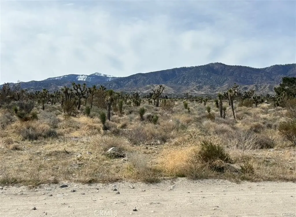 0 Mono Road, Pinon Hills, CA — listing photo 1