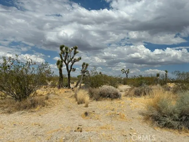 0 Ste/Vic, Black Butte, CA — listing photo 1