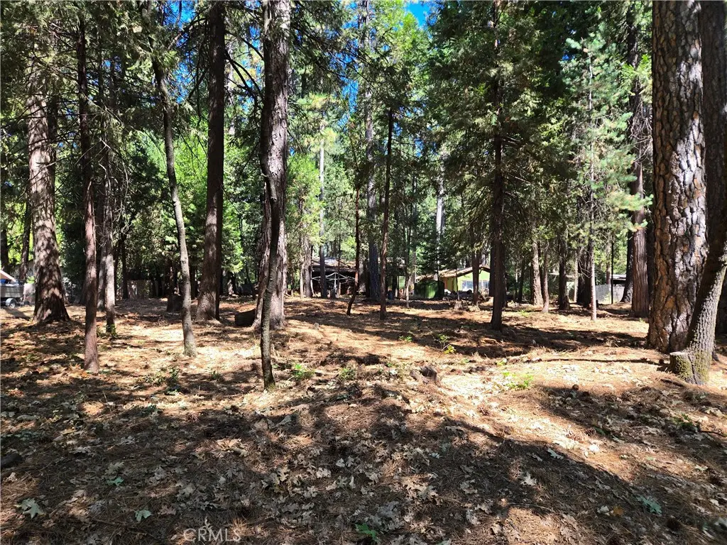0 Tikker Ln, Magalia, CA — listing photo 1