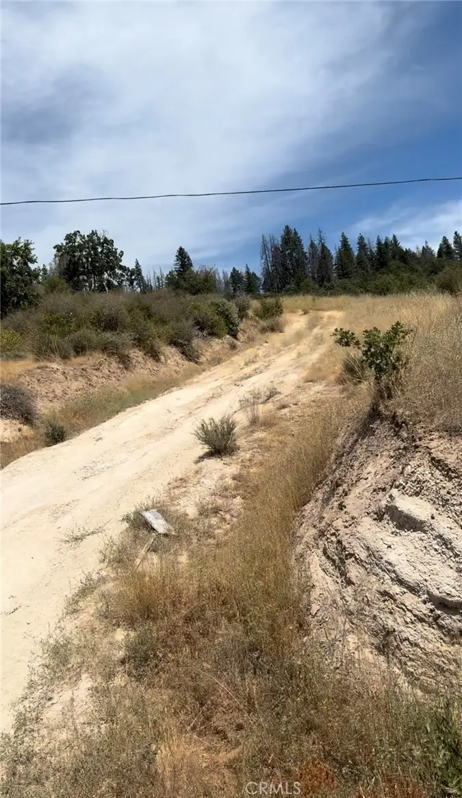 1651 Summit Creek Road, Hayfork, CA — listing photo 1
