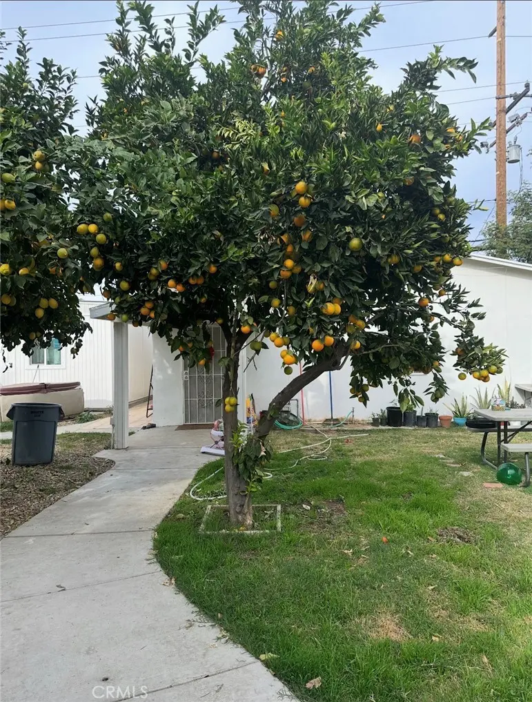 Single Family Residence for rent at 1632 Gould, Loma Linda, CA featuring 3 beds and 2 baths