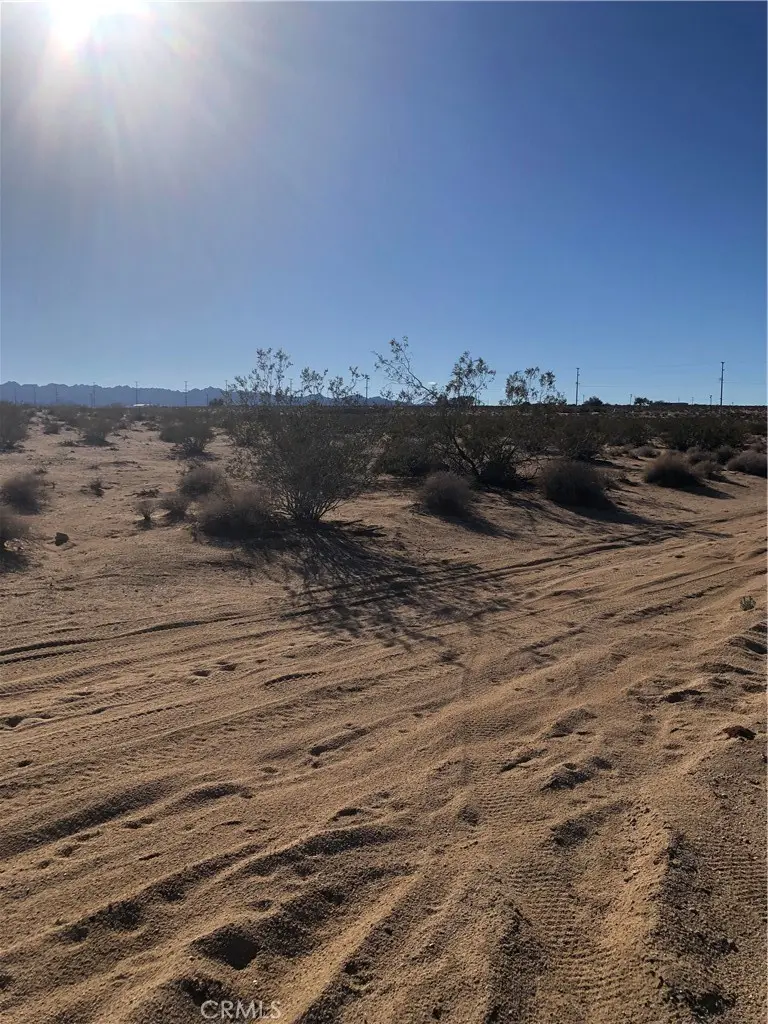1 Pampas, 29 Palms, CA — listing photo 1