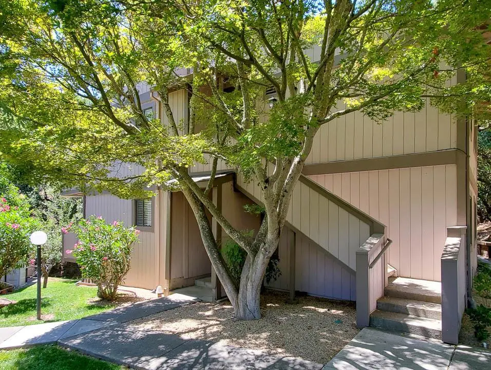 30 Clay Court, Novato, CA — listing photo 1