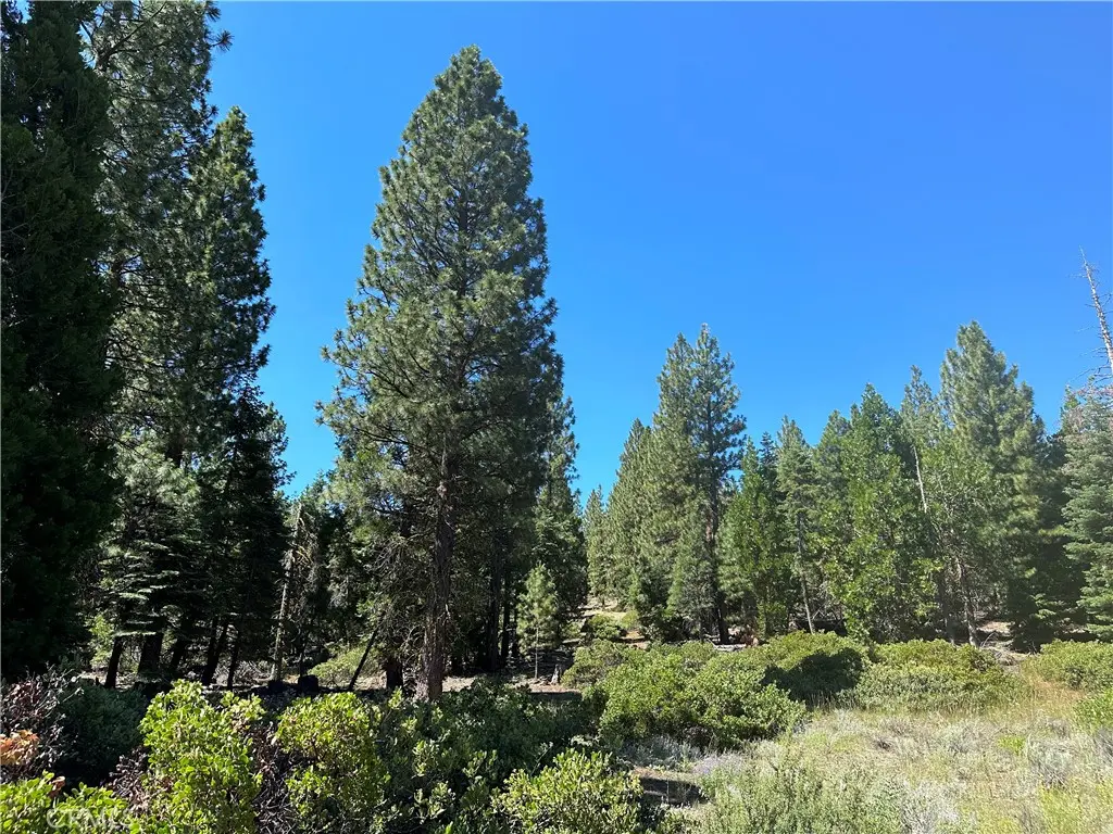 1 Canyon Creek Rd, California Pines, CA — listing photo 1
