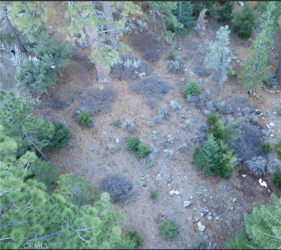 15024 Chestnut, Pine Mountain Club, CA — listing photo 1