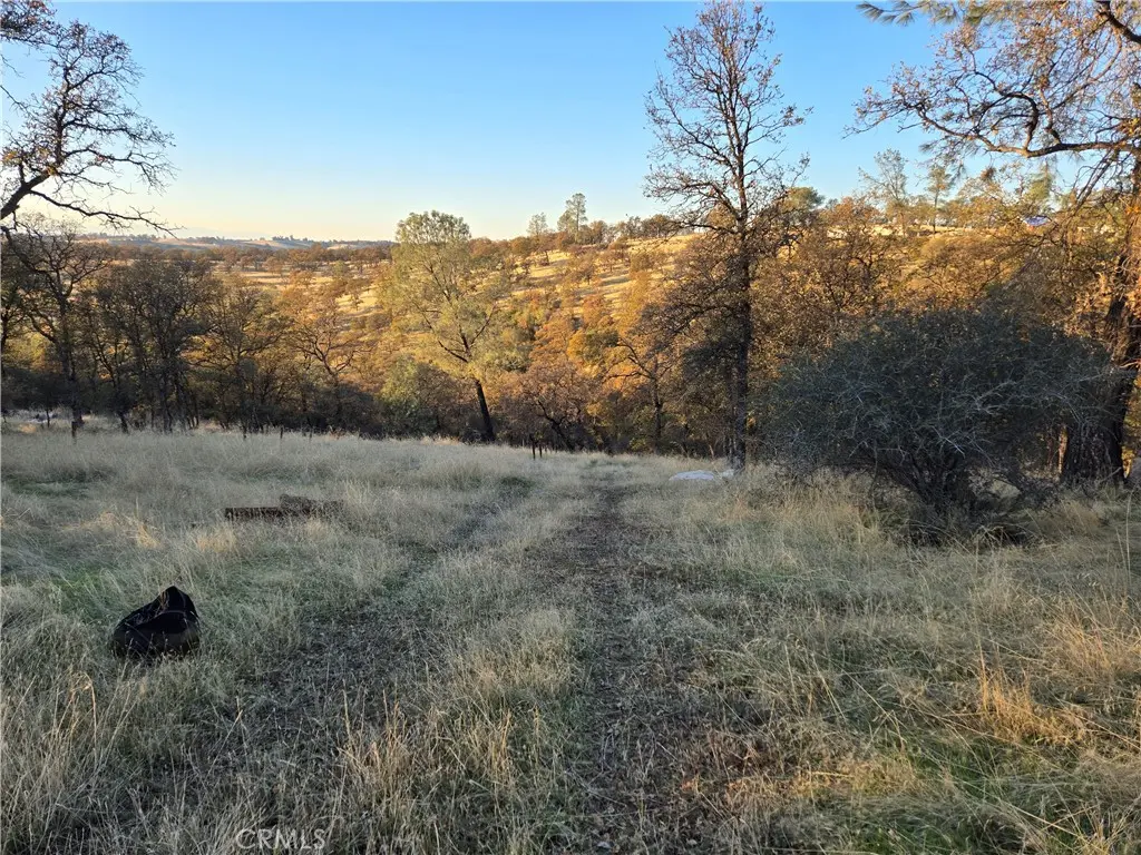 0 Avacado Road, Bangor, CA — listing photo 1
