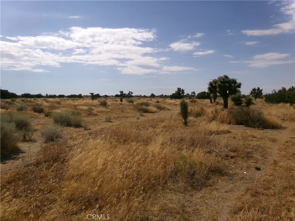0 Phelan Road, Phelan, CA — listing photo 1