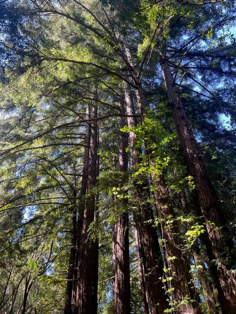 0 Sycamore Cyn Road, Big Sur, CA — listing photo 1