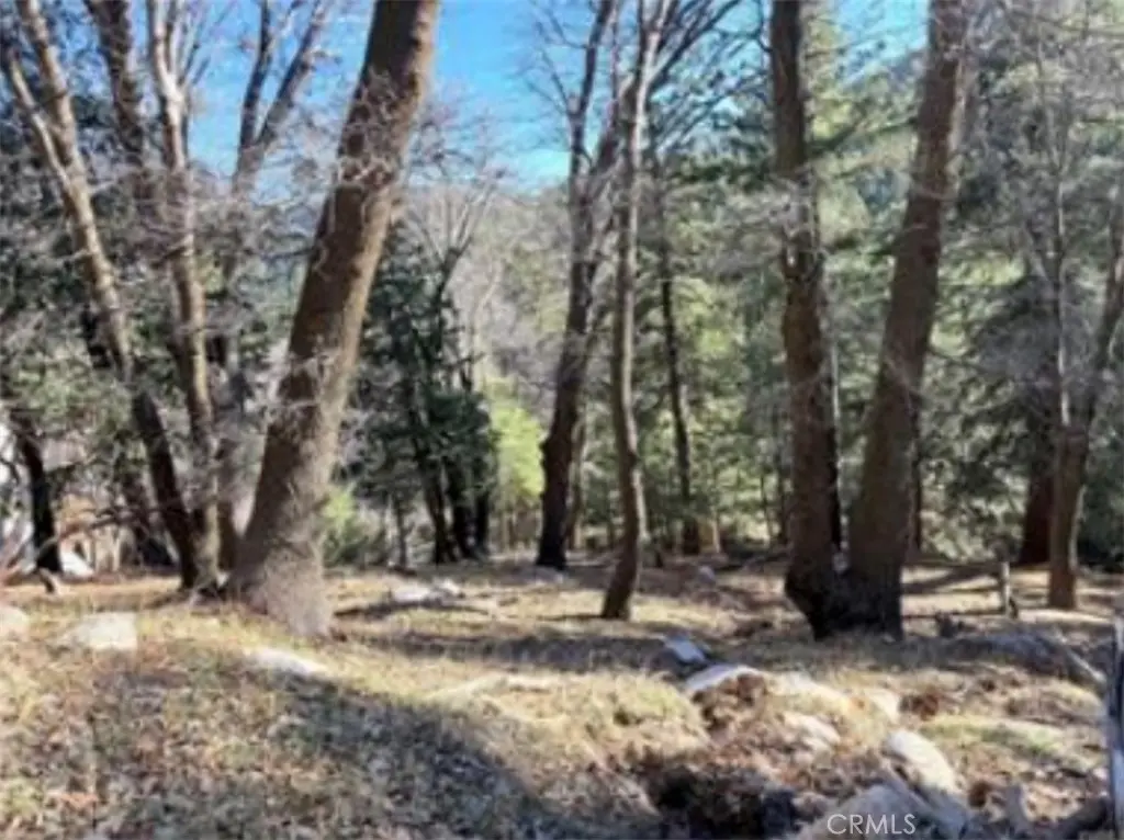 0 Thunderbird, Lake Arrowhead, CA — listing photo 1