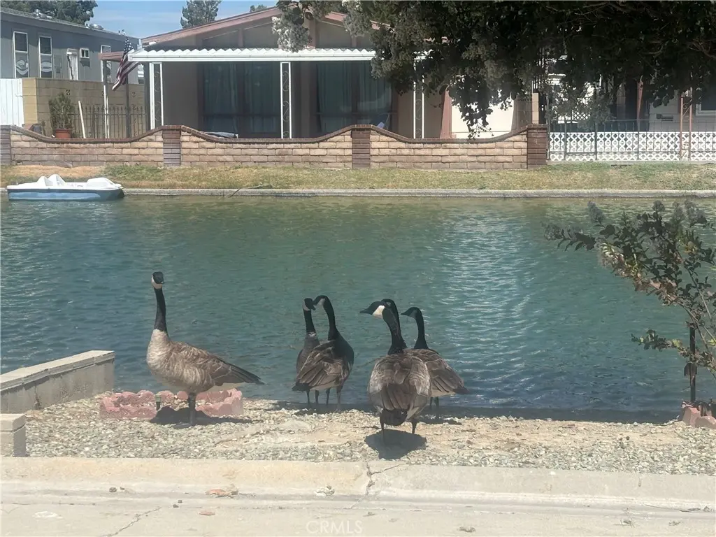 48303 20th Street W 85, Lancaster, CA — listing photo 1