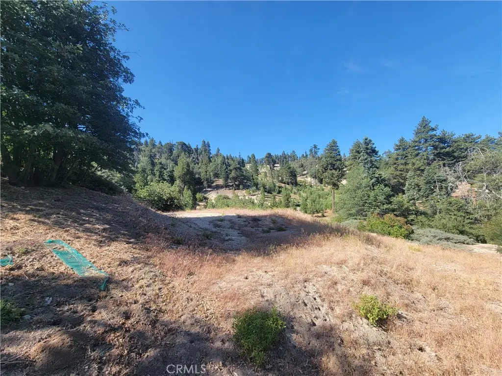 33345 Angeles, Green Valley Lake, CA — listing photo 1