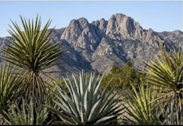 63330 Jeraboa Road, Mountain Center, CA — listing photo 1