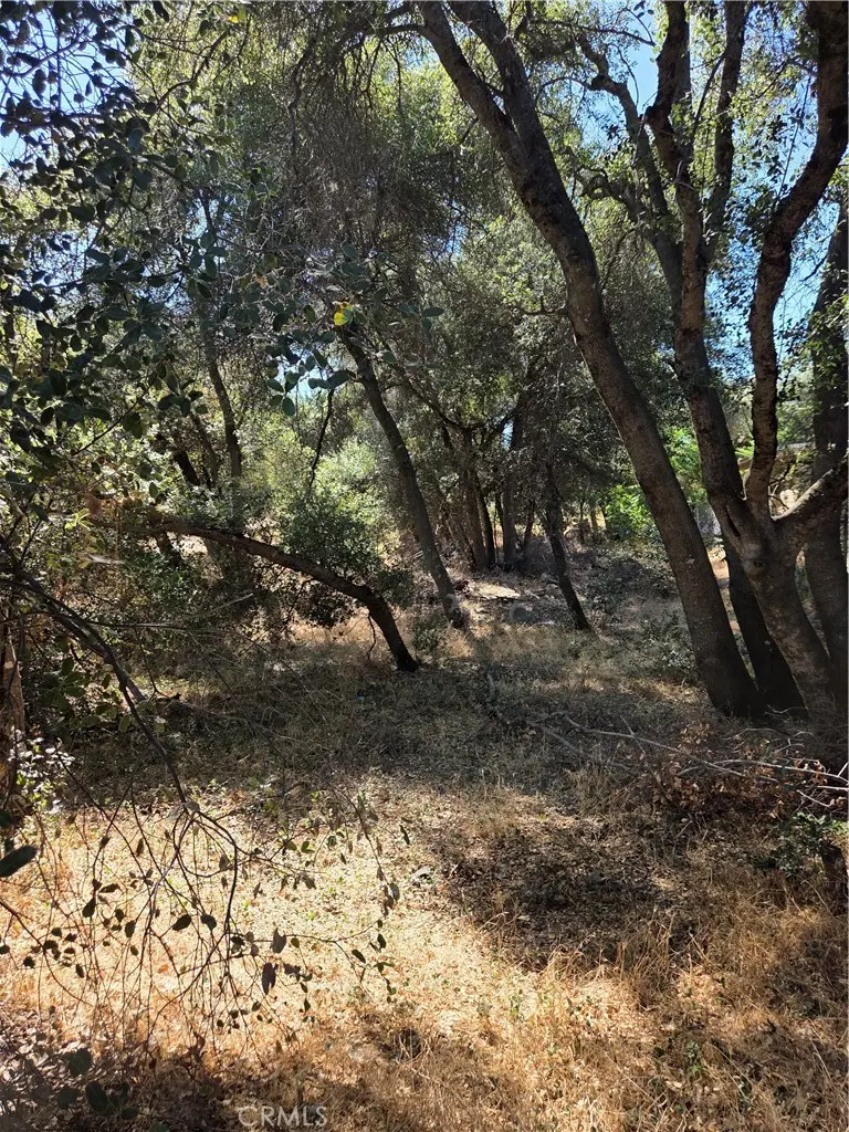 13692 Fair Oak, Clearlake, CA — listing photo 1