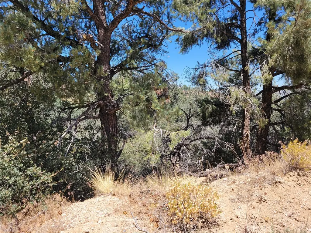 0 Old Oak Springs Valley Road, Wrightwood, CA — listing photo 1