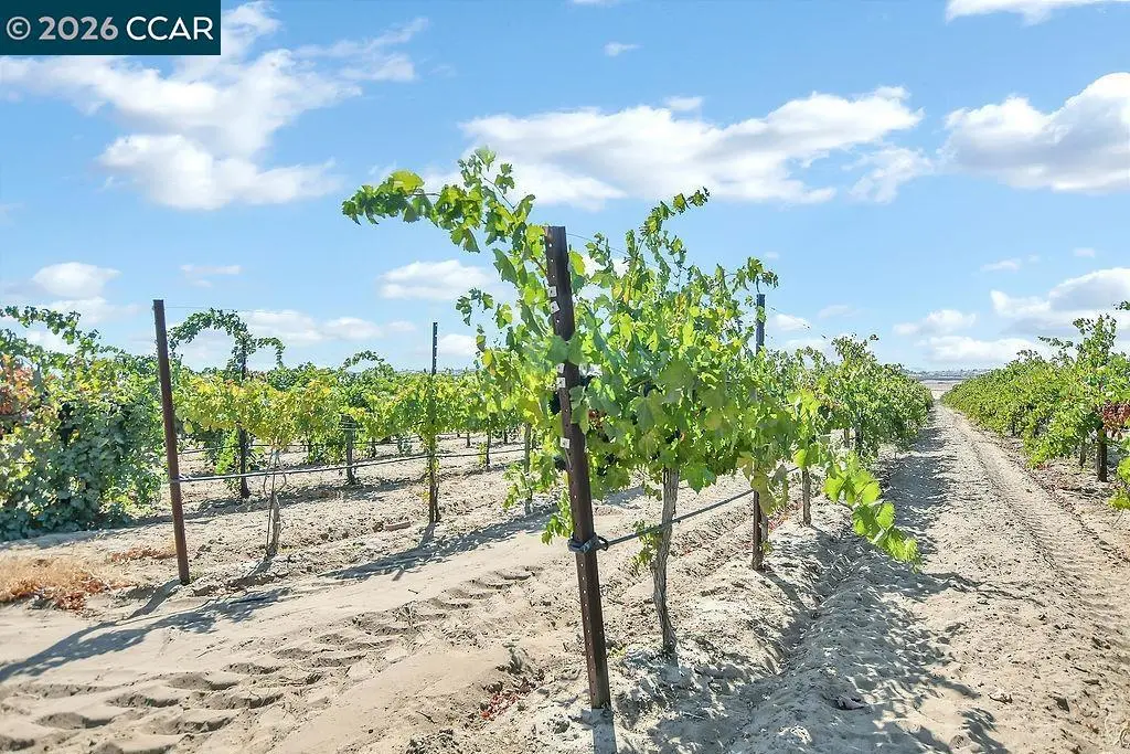0 Empire Ave, Oakley, CA — listing photo 1