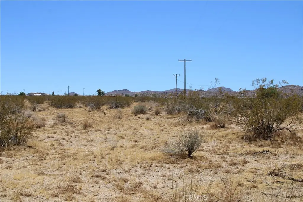 5 AC Joshua Tree, Johnson Valley, CA — listing photo 1