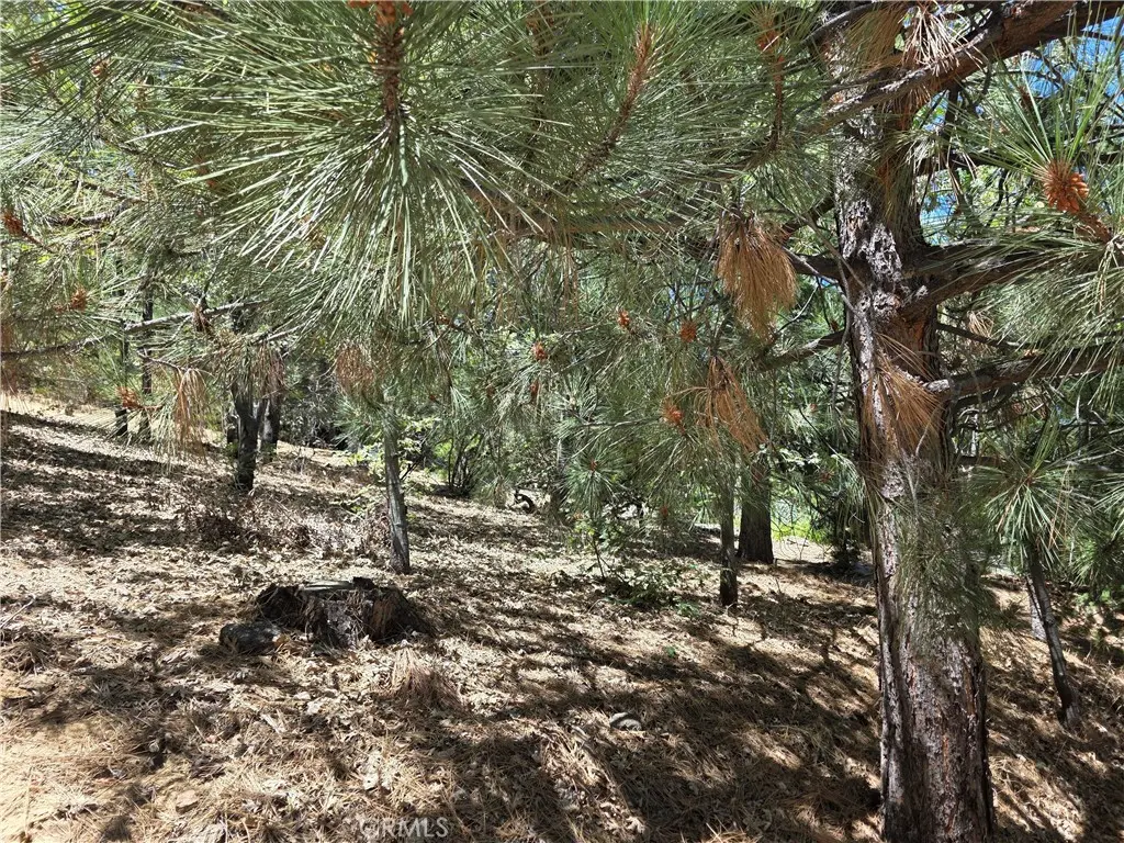28276 Arbon, Lake Arrowhead, CA — listing photo 1