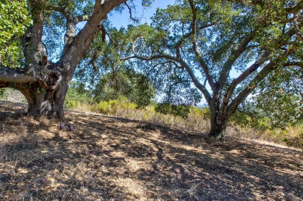 8272 Sassafras Court, Pleasanton, CA — listing photo 1