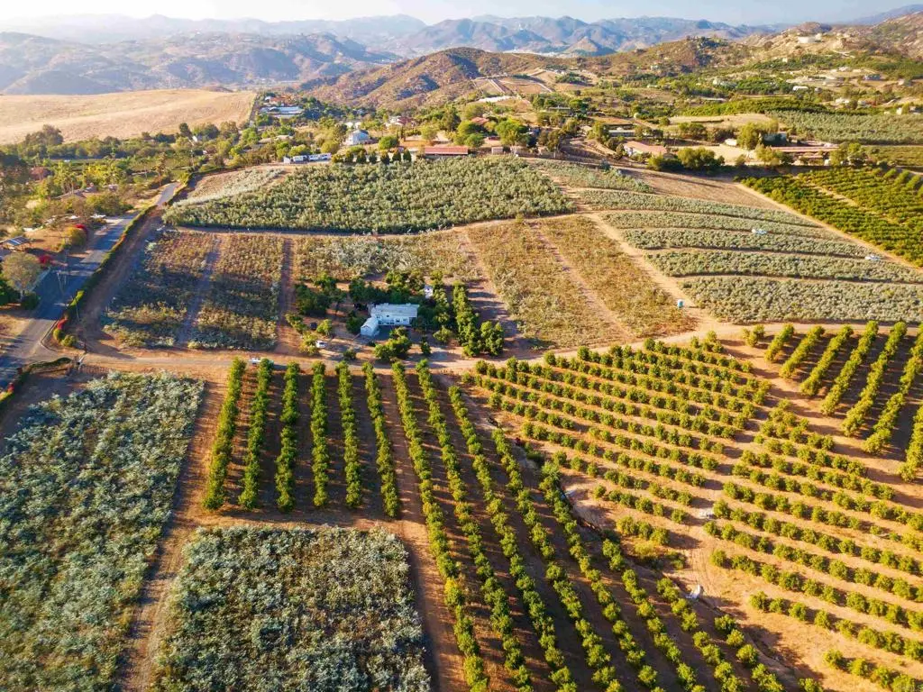 31817 Via Ararat Drive, Bonsall, CA — listing photo 1