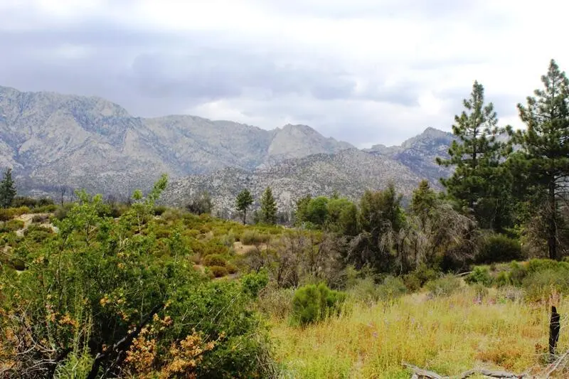 0 Bonita Vista Road, Mountain Center, CA — listing photo 1