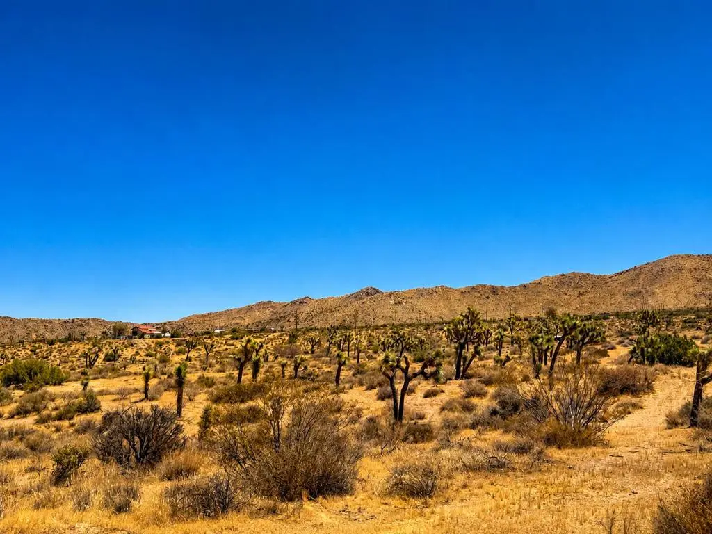 58920 Lisbon Drive, Yucca Valley, CA — listing photo 1