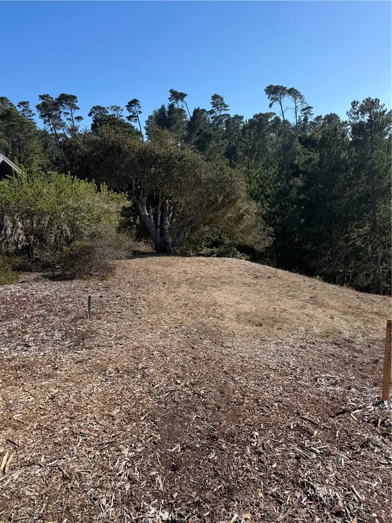 3123 Rogers, Cambria, CA — listing photo 1