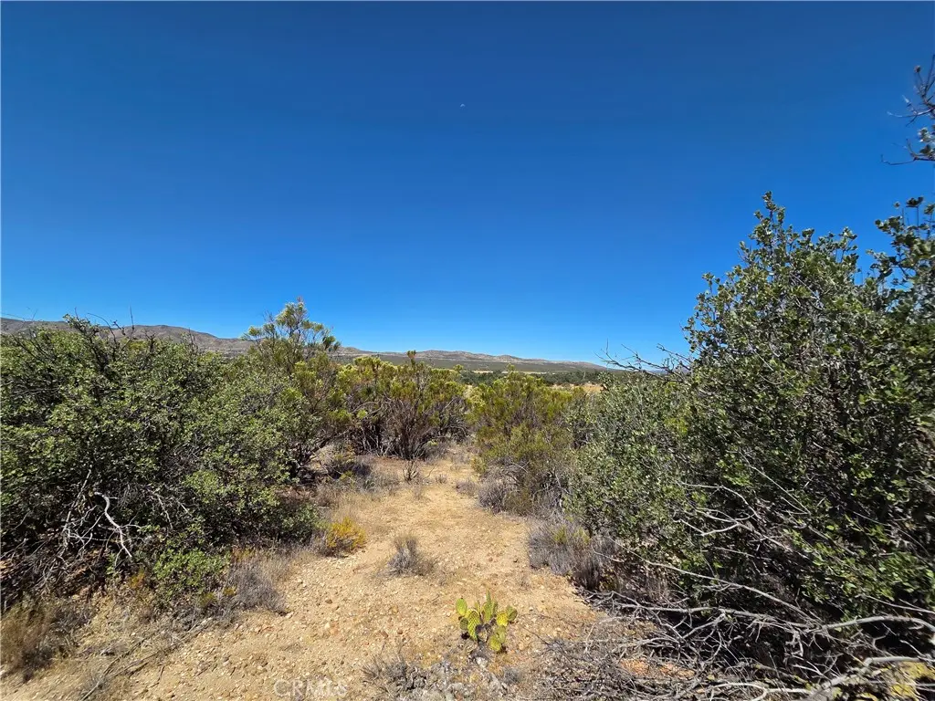 1 Terwilliger, Anza, CA — listing photo 1